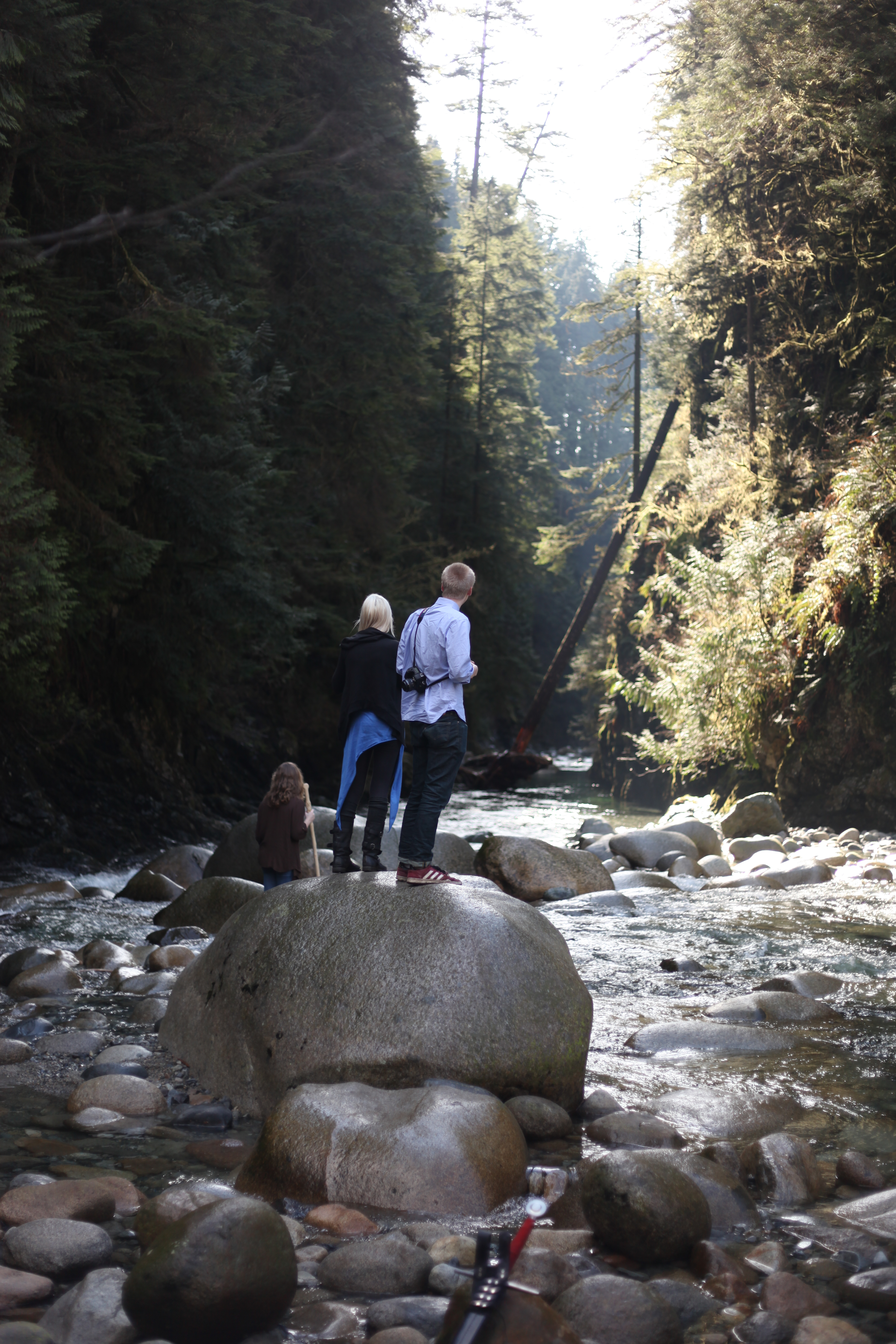 Lynn Canyon