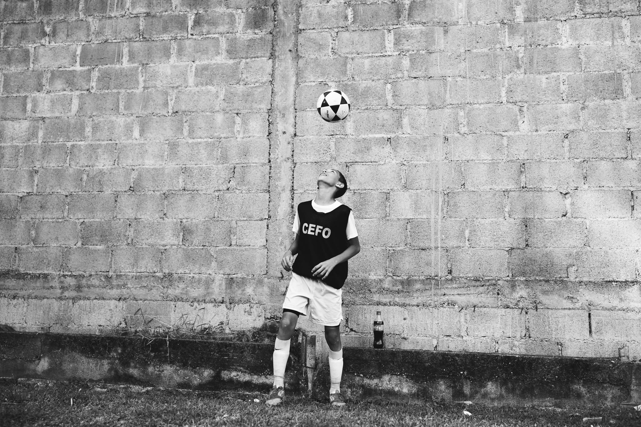 DSC08127copy